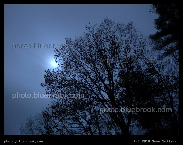 Moon in the Trees - The moon over trees at the westbound I-84 rest area, Sturbridge MA