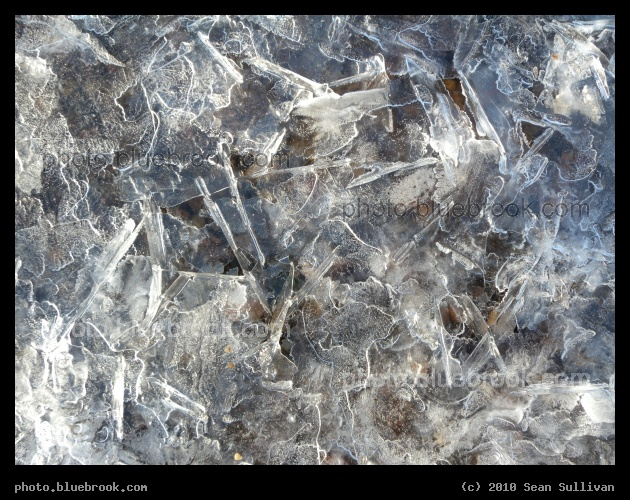 Riverfront Ice - On the shoreline of the Charles River, Cambridge MA