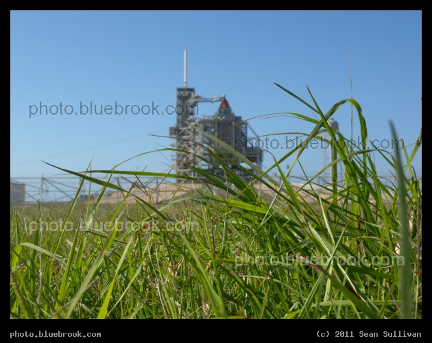 Grasses at Launch Pad 39-A - Grasses near Kennedy Space Center launch pad 39-A, with the space shuttle Atlantis under the rotating service structure