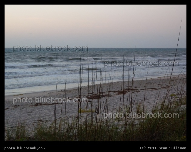 Ocean through Grasses - Satellite Beach, FL