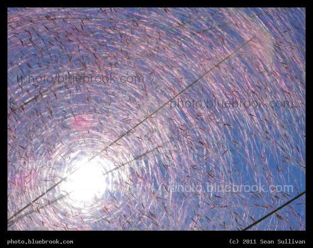 Bright Circles - Eau Gallie, FL