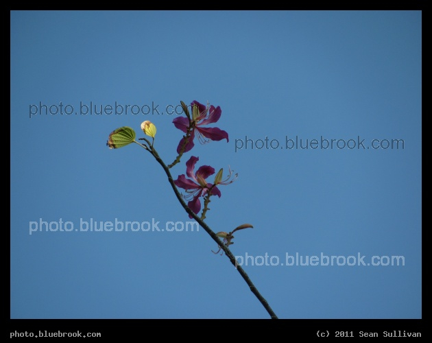 On the Tip - Bradenton FL