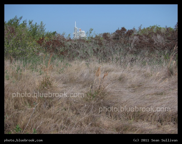 Grasses and Discovery - Tall grasses in a field near Kennedy Space Center launch pad 39-A, on the day before the launch of space shuttle Discovery on flight STS-133