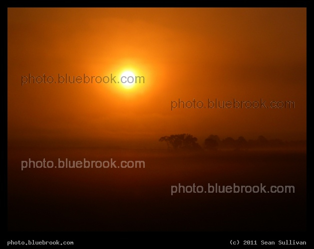 Georgia Sunrise - From aboard the Amtrak 