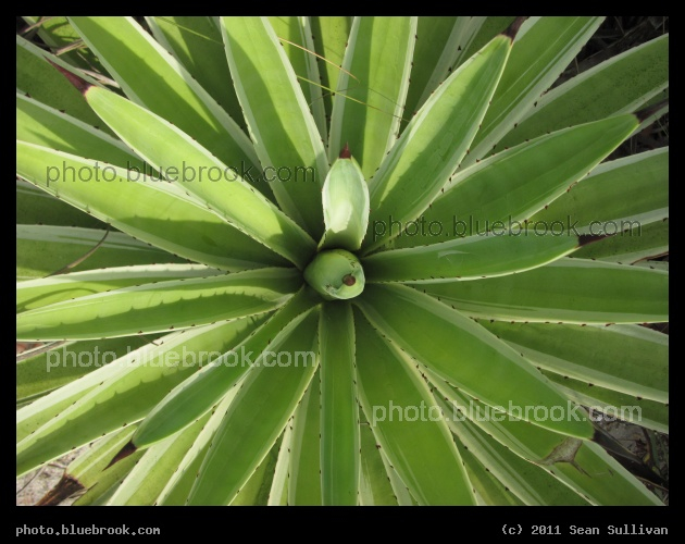 Radial - Satellite Beach, FL
