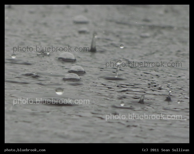 Raindrops and Bubbles - Looking across a puddle during an afternoon rainstorm, Kennedy Space Center FL