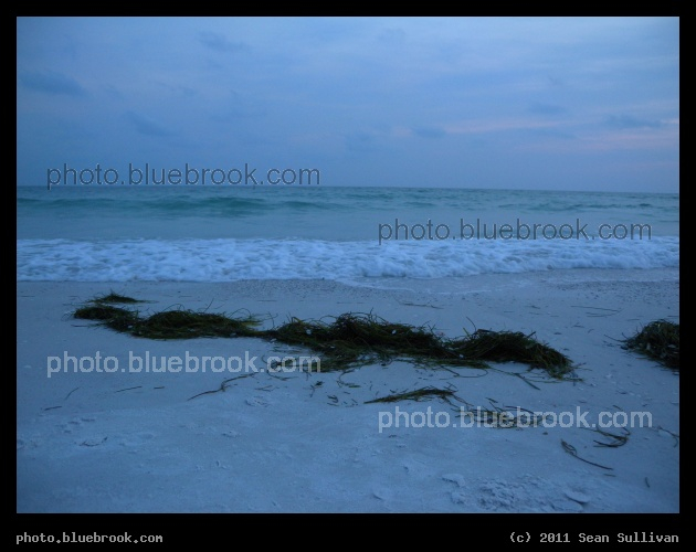 Washed Up - Sarasota, FL