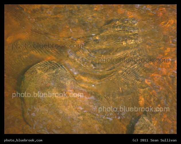 Orange Ripples - Mill Brook, Arlington MA