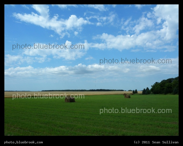 August Field - Fisher MN
