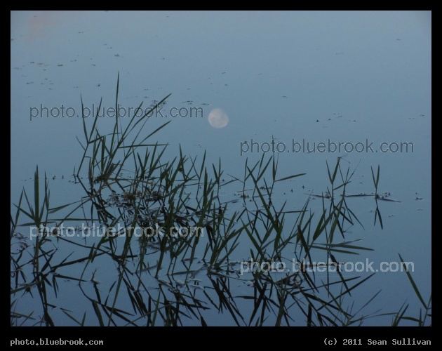 The Moon Beyond - The moon