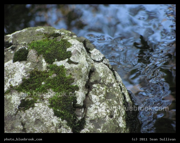 Stream Channel by Boulder - The surface of a stream ripples while passing beside a large rock, Webster Conservation Area, Newton MA