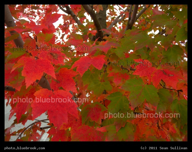 Red Splash - At the Westborough service plaza on Interstate 90, Westborough MA
