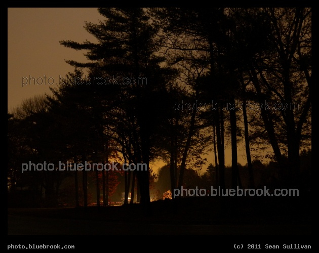 Sturbridge Night - Trees at the westbound I-84 rest area, Sturbridge MA