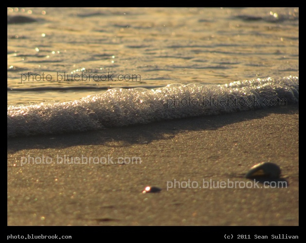 River Bubbles - Foam in the water along the shoreline of the Manatee River, De Soto National Memorial, Bradenton FL