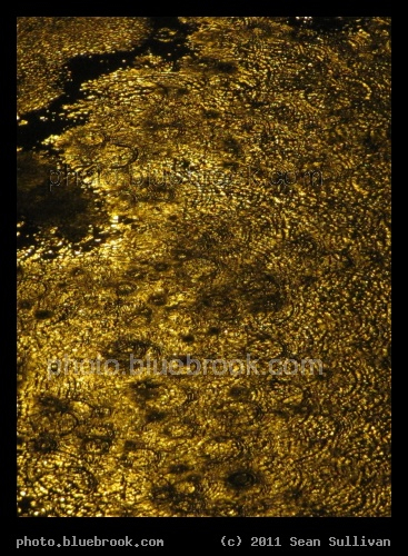 Rooftop Rain - Rain on the roof of a building in the Longwood district, Boston MA