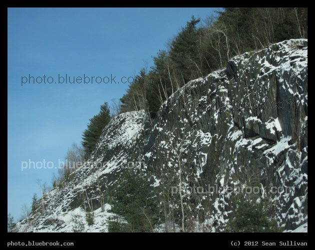 Trees over Bedrock - A layer of trees over bedrock exposed along I-91 near Bradford VT