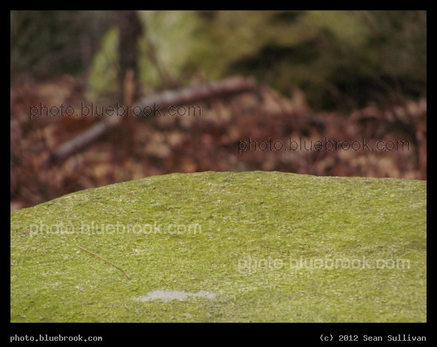 The Rocks Horizon - Grafton, MA