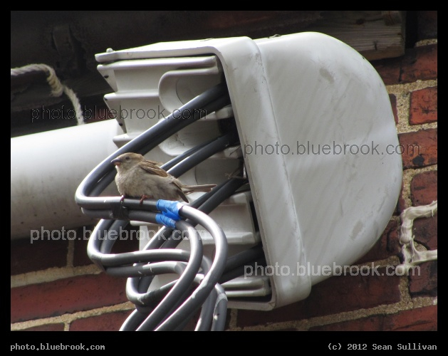 Multipurpose Wires - Concord NH