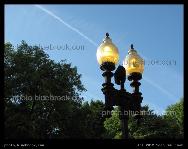 Afternoon Lamppost - Boston MA