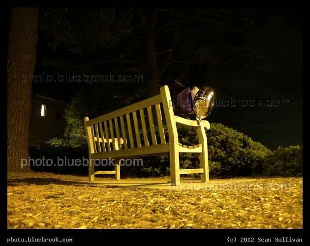 Balloons on a Bench - Amherst College, at a bench overlooking Memorial Hill, Amhert MA