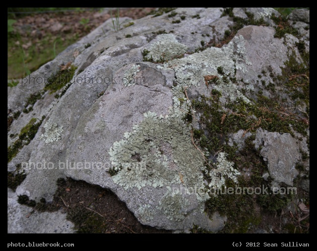 Earthy - Grafton, MA
