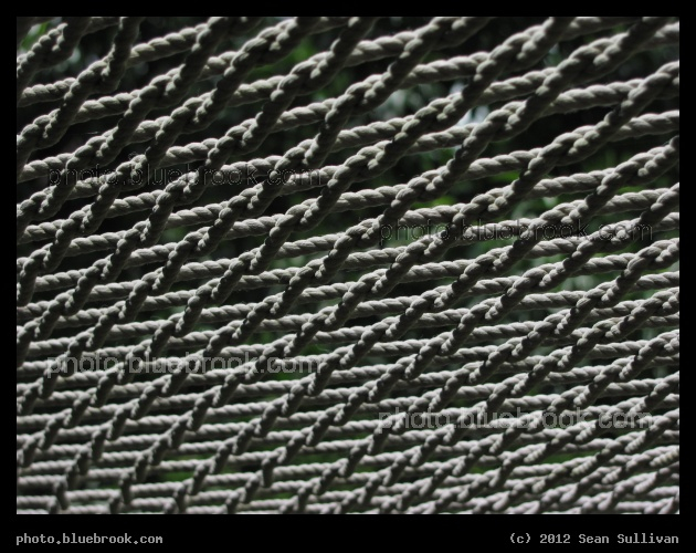 Hammock Detail - Arlington, MA
