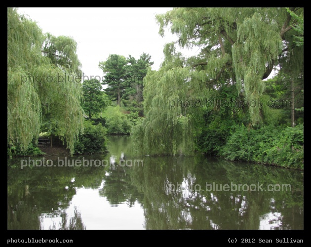Water in Winchester - Aberjona River, Winchester MA