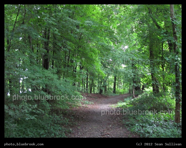 Whitmore Brook Entrance - A path into the Middlesex Fells Reservation, Medford MA