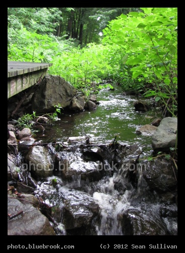 Whitmore Brook - Whitmore Brook, Middlesex Fells Reservation, Medford MA