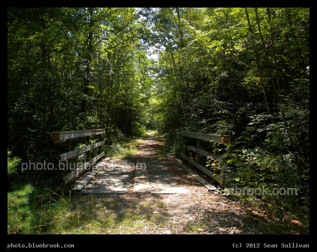 Northern Rail Trail - Near Tewksbury Pond, Grafton NH