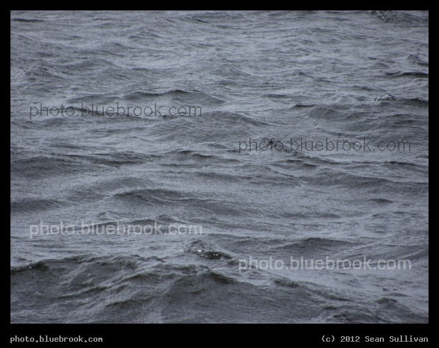 Storm Ripples - Boston Harbor during Tropical Storm Irene (2011)