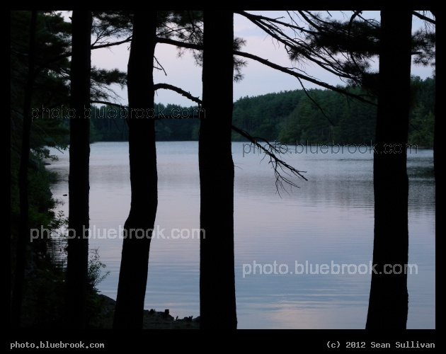 Lakeshore Sentinels - Middlesex Fells Reservation, MA