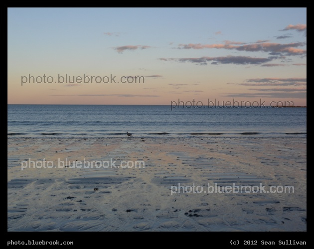 Tide Ripples - Ripples and drainage patterns on the beach as the tide pulls back, Revere Beach MA