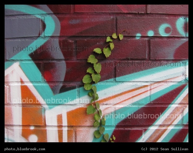 Tendril - Newton, MA