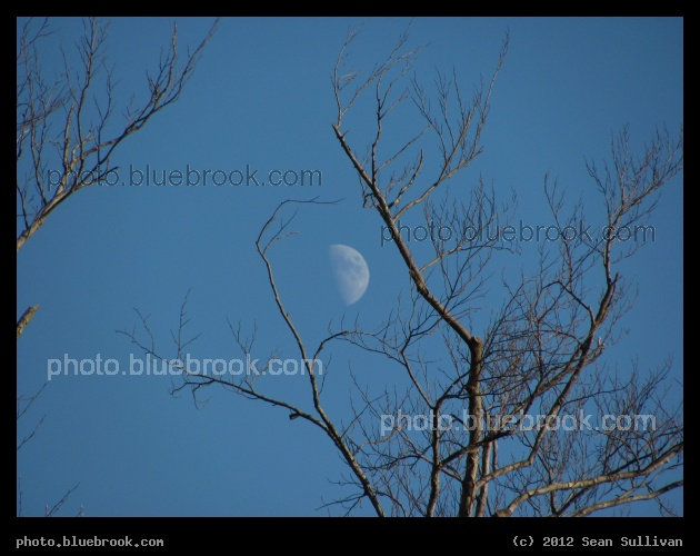 Boxing the Moon - Pine Banks, Melrose MA