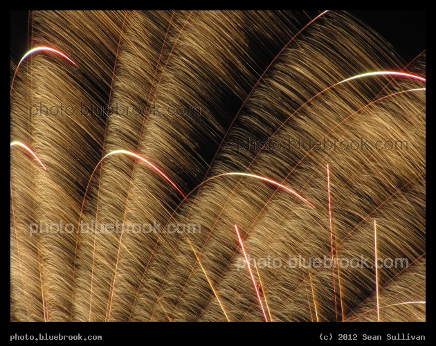 Fireworks Fronds - First Night 2012 fireworks over Boston Harbor