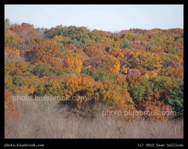 Changing Hillside - Grafton, MA