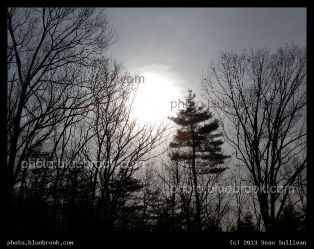 January Skyline - Grafton MA