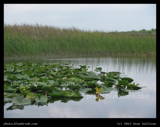 Tranquil Water - Melbourne FL