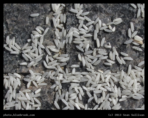 Rice and Stone - Beside Fort Point Channel, Boston MA