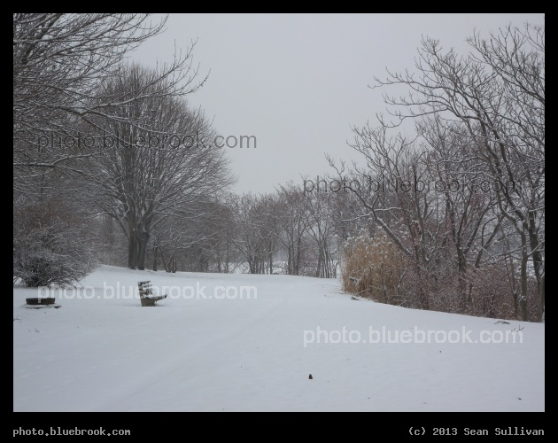Quiet Snowy Day - Mystic River Reservation, Somerville MA