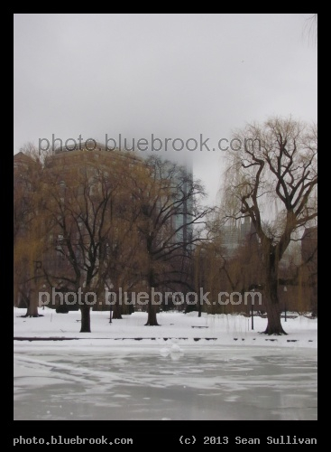Buildings Fading - Public Garden, Boston