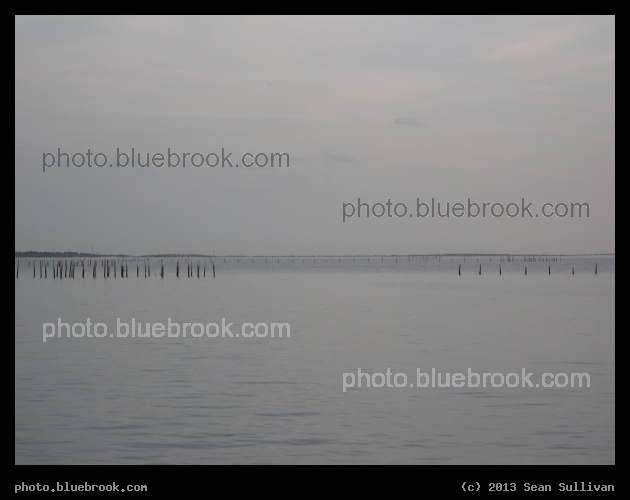 Backdrop - Kiptopeke State Park, Virginia