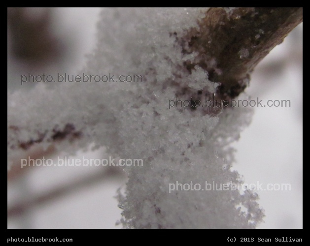 Tiny Hexagon - Somerville MA