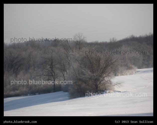 Frosted Woods - Grafton MA