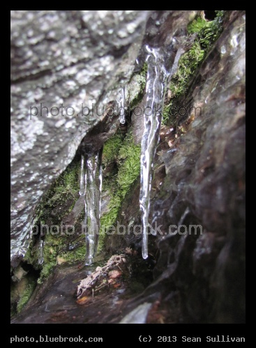 Canyon of Moss and Icicles - Chestnut Hill Reservoir, Boston MA