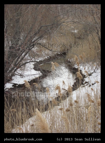 Weaving Stream - Everett, MA