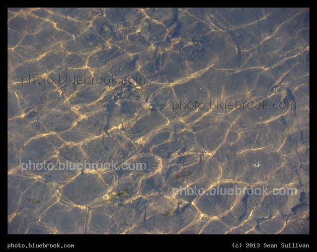 Spot Pond Brook Bending Light - Spot Pond Brook, Melrose MA