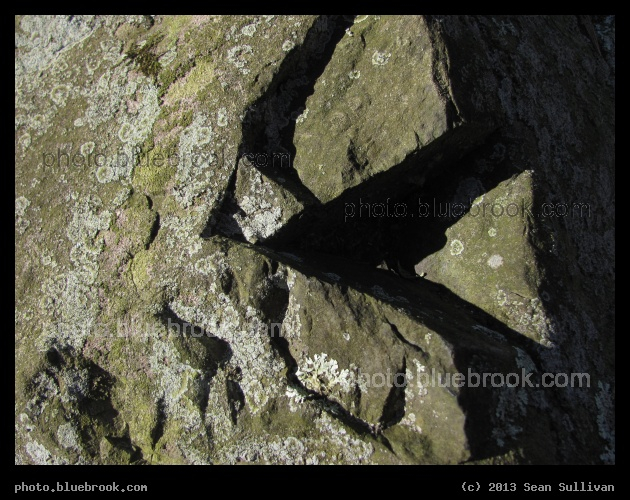 Sunlight and Notches - Pine Banks Park, Malden/Melrose MA