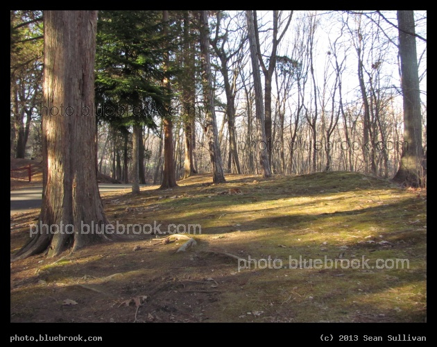April Walk - Pine Banks Park, Malden/Melrose MA